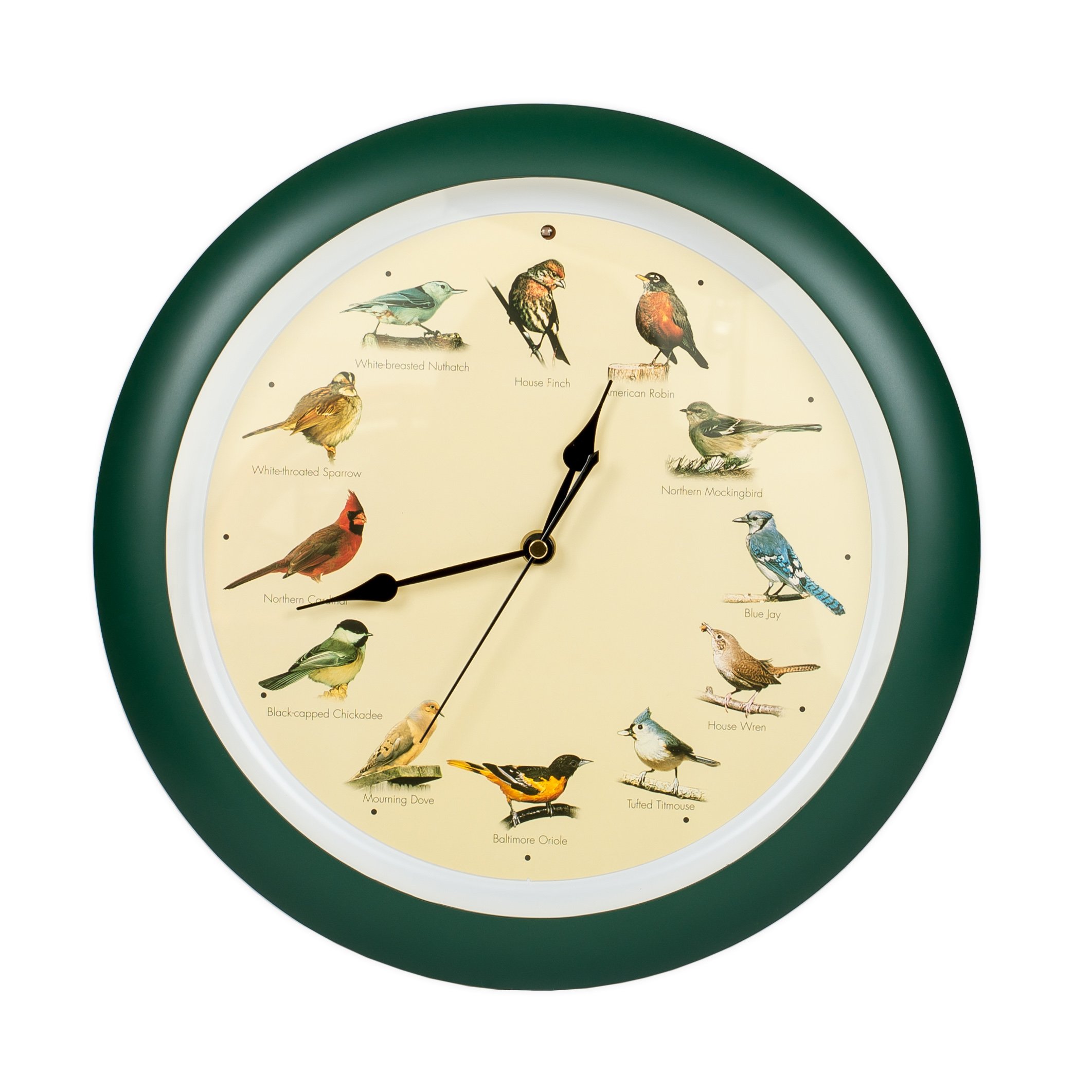 Mark Feldstein and Associates DLB023GR Original Singing Bird Clock 13