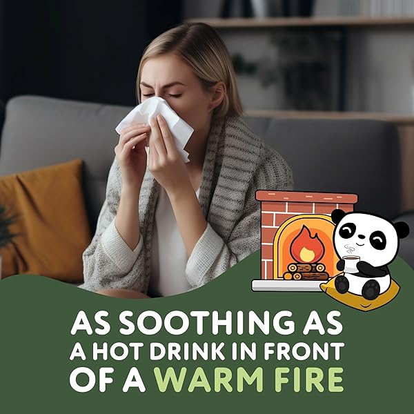 THE CHEEKY PANDA BAMBOO FACIAL TISSUES BOXES | FLAT TISSUE BOX (80 TISSUES PER BOX) | SOFT 3 PLY BAMBOO TISSUE PAPER