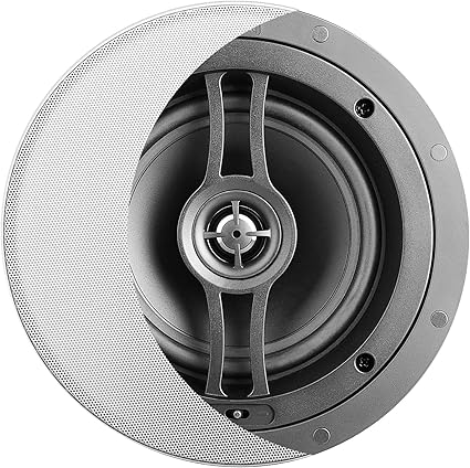 weather resistant ceiling speakers
