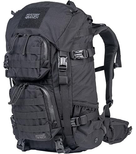 Amazon.com | Mystery Ranch Blitz 30 Backpack – Weather-Resistant