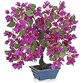 Briful Artificial Bougainvillea Tree in Blue Pot 18.5" Tall Faux Bougainvillea Floral Tree Tropical Silk Fake Bougainvillea Plant for Home Office Living Room Table Décor(Purple)