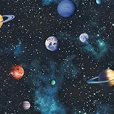 Arthouse Cosmos Space Planets Charcoal Wallpaper Teen Bedroom 3D Stars
