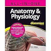 Anatomy &amp; Physiology All-in-One For Dummies (+ Chapter Quizzes Online)