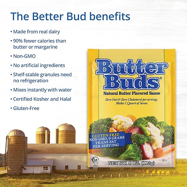 BUTTER BUDS SAUCE MIX, 4 OZ (4-PACK) – NON-GMO, GLUTEN-FREE NATURAL BUTTER FLAVORED SAUCE MADE WITH BUTTERMILK, 0 FAT, 0 CHOLESTEROL