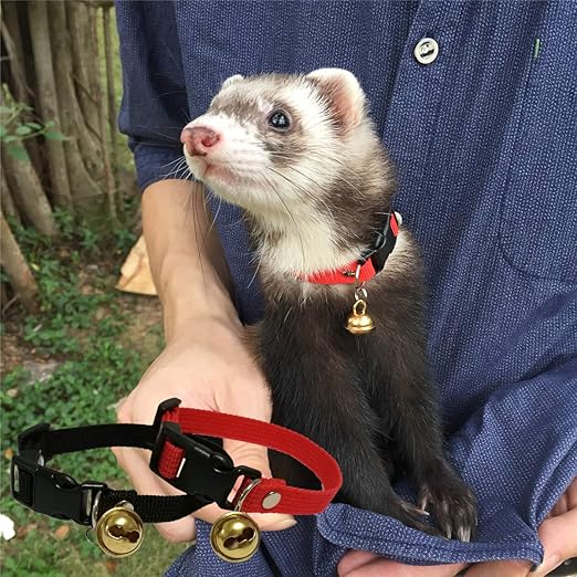 Pet Classic Solid Color Ferret Collar 