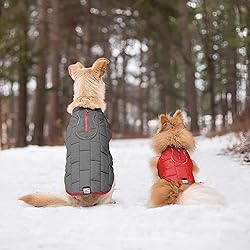 Kurgo Loft Dog Jacket, Reversible Dog Coat, Wear