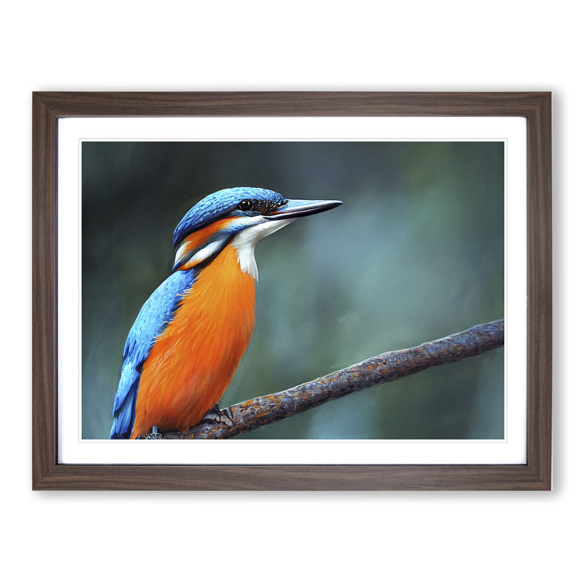 Welcoming Kingfisher Bird Framed Print | A4 Walnut Framed Wall Art | Ready to Hang | Modern Nature Picture | Living Room Bedroom Lounge Office