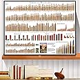 American Bullets Wall Art Bullet Chart Poster Canvas Art Prints for Home Room Decor 16x24 Inch Unframed