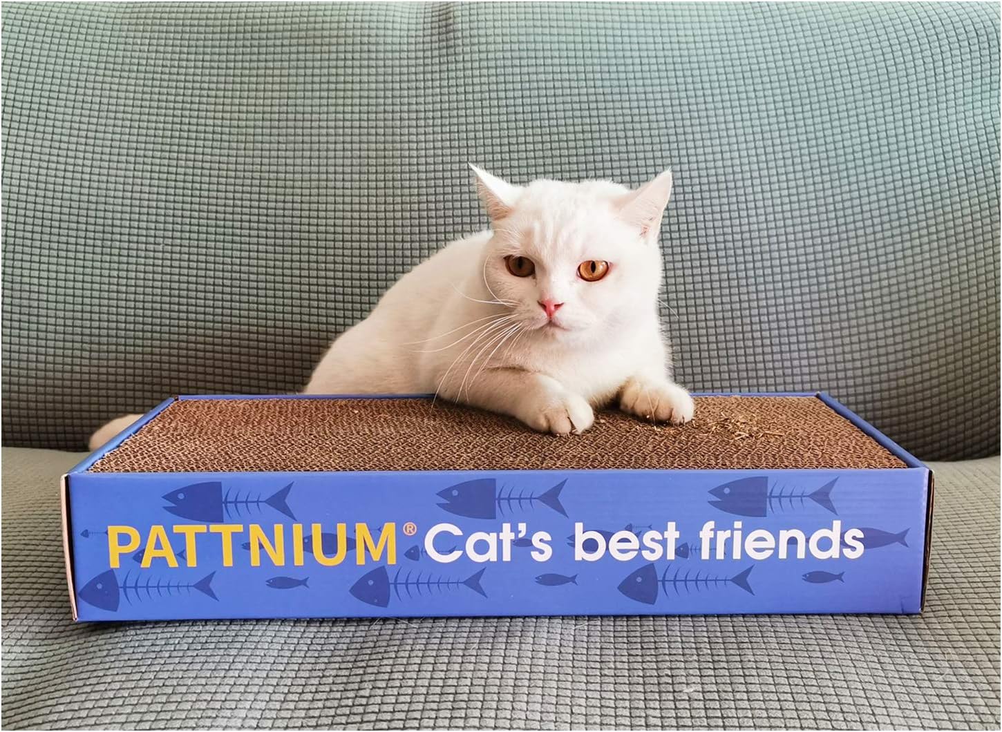 PATTNIUM 3 in 1 Corrugated Cat Scratcher Cardboard Scratching Pad Toys with Catnip Scratch Lounge Bed for Cats Pack of 3 : Pet Supplies