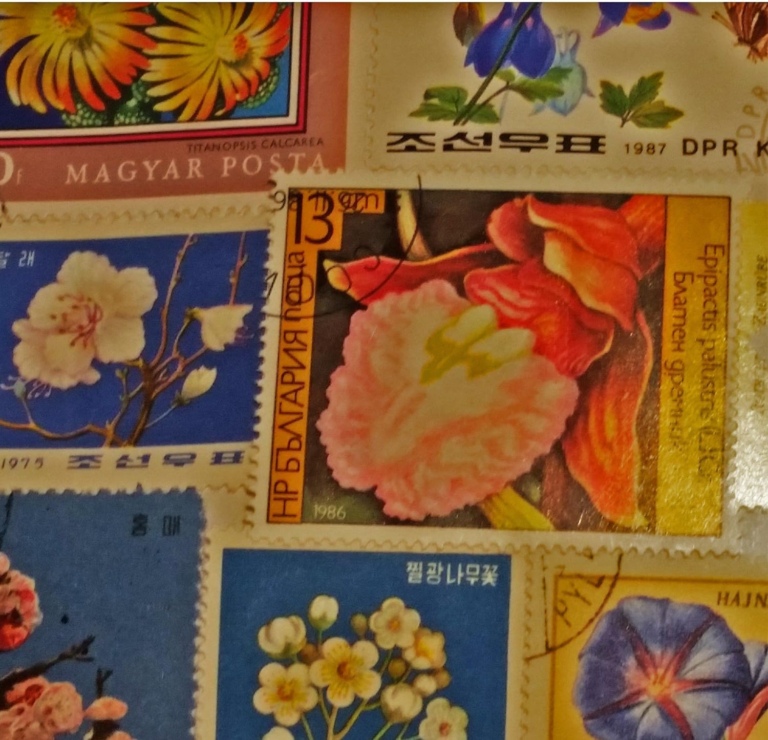 Worldwide Flower Flora Stamp Collection - Image 5