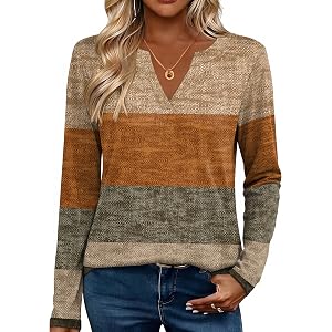 Zeagoo Womens Tops Long Sleeve V Neck Tee Shirts Cute Dressy Casual Clothing Business Work Blouse | Business Work Blouse,Basi