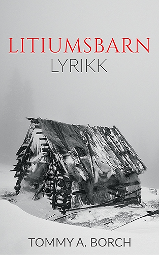 Download Litiumsbarn (Norwegian Bokmal Edition) PDF
