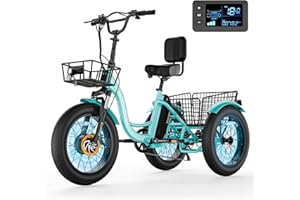 MOONCOOL Electric Tricycle for Adults, 20" x 4" Fat Tire Electric Trike, 48V 500W Motorized Electric Bicycle Bikes, 3 Wheels 