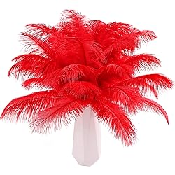 THARAHT 24pcs Red Ostrich Feathers Natural Bulk