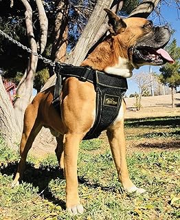 yoga dog heavy duty dog harness