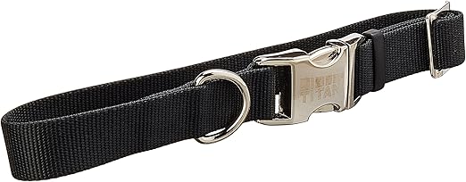 titan dog collar