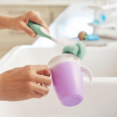 Munchkin® Sponge™ Bottle Brush, Pack, Green in Oman Whizz