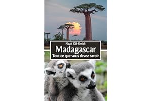 Madagascar: Tout ce que vous devez savoir (French Edition)