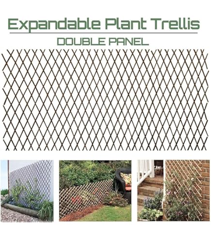 thumbnail image 2 of Expandable Willow Lattice Fence Panel (2-Pack) - 36x92 Inch Garden Trellis For Climbing Plants, Ivy, Rose, Outdoor Yard 2 of 10