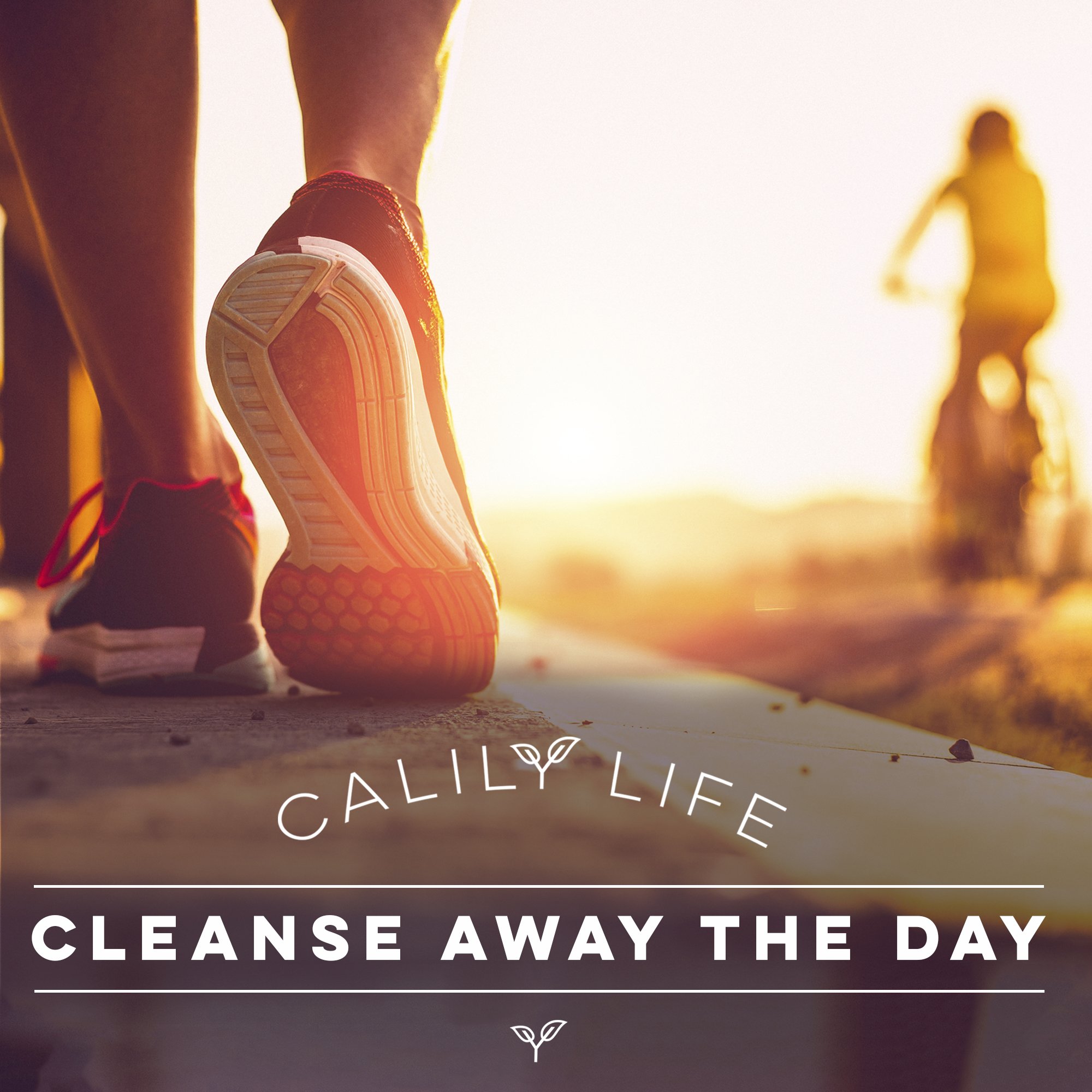 Calily Life Organic Detoxifying Charcoal + Eucalyptus + Peppermint Face and Body Wash, 33. 8 Oz. – Powerful Cleansing and Refreshing + Therapeutic, Invigorating & Relaxing [ENHANCED]