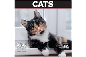 MICASA PRESS MICASA Cats 2025 Wall Calendar 12 Month | 12" x 24" Open | Thick & Sturdy Paper | Giftable | Calendar 2025