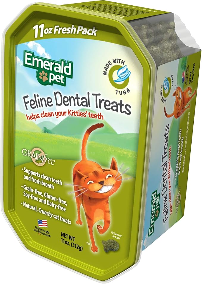 grain free dental cat food