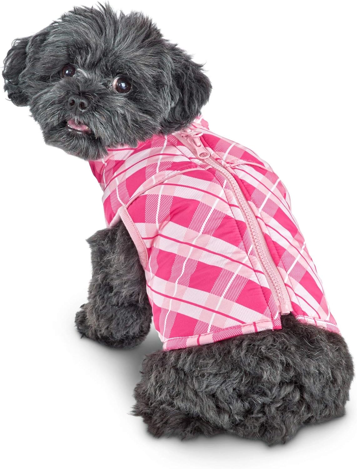 bond & co dog jacket