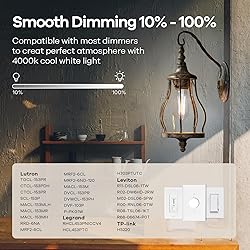 Linkind Edison Light Bulbs Dimmable, 60W Equivalent