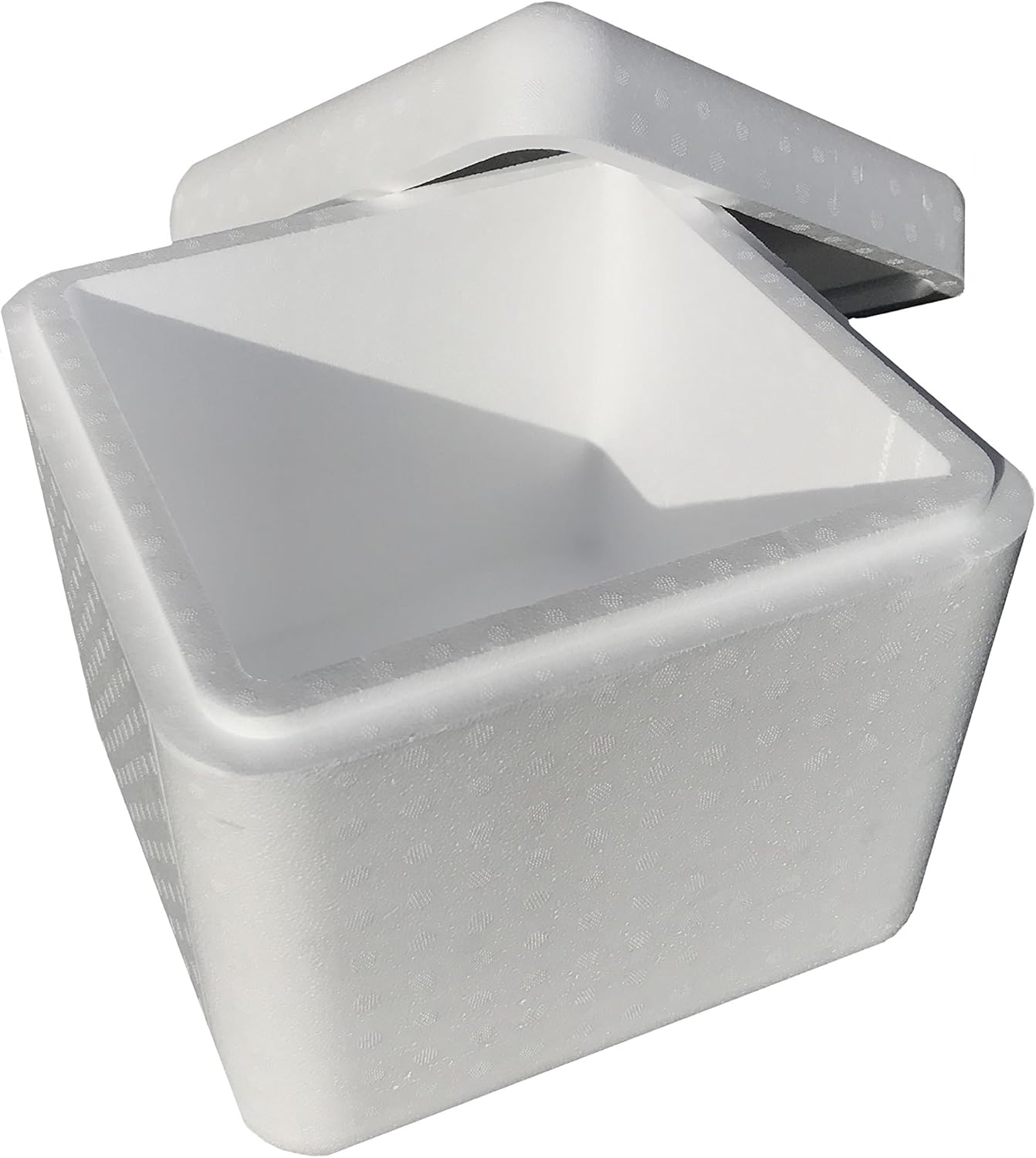 Porexpan 30-0290 Caja Hielo Seco 25: Amazon.es: Hogar
