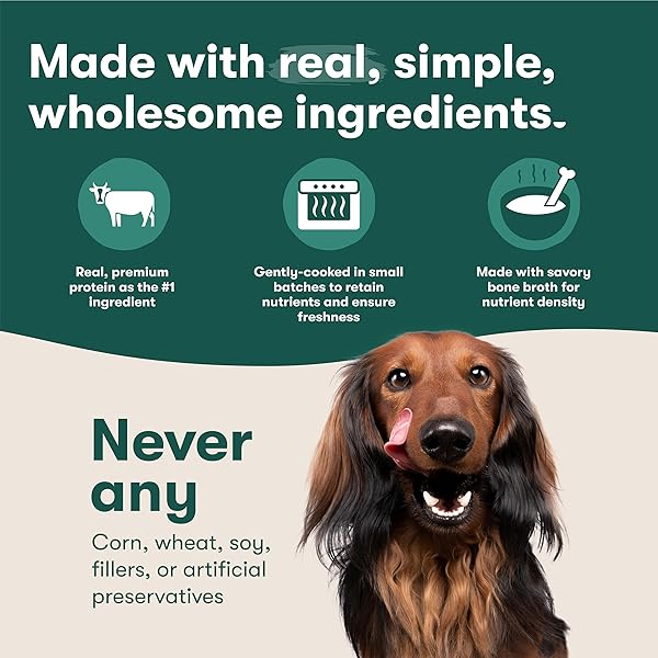 JINX CHICKEN DOG WET FOOD, MEAL OR MIX IN DOG TOPPERS FOR DRY FOOD, MADE WITH REAL CHICKEN, BONE BROTH & BROWN RICE, NO FILLERS, PUPPY, ADULT, SENIOR, 3OZ, 8 PACK
