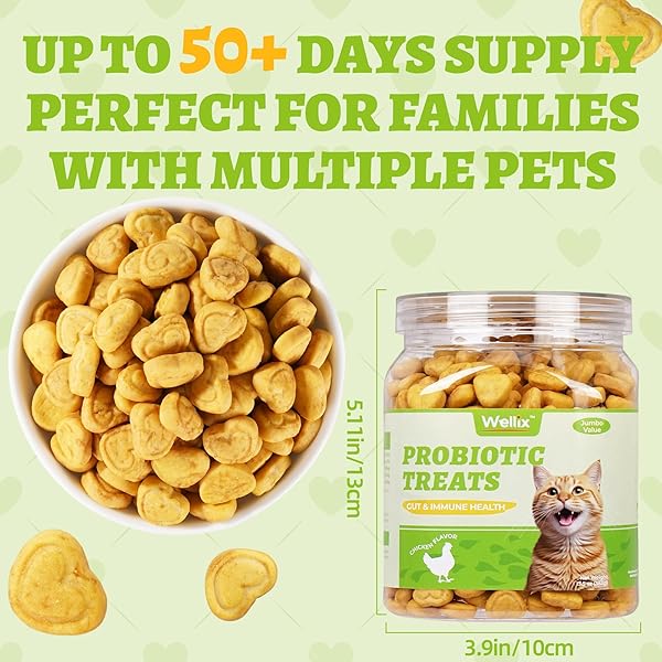 WELLIX 13.5OZ PROBIOTIC HEALTH SUPPLEMENT CAT TREATS FOR INDOOR CATS – CHICKEN FLAVOR KITTEN SNACKS FOR GUT+IMMUNE HEALTH – ADD FOS & INULIN CAT TRAINING BISCUITS