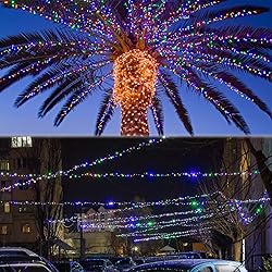 BHCLIGHT Extra-Long 95FT 240 LED Green Wire