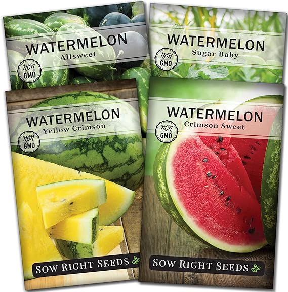 Amazon Com Sow Right Seeds Watermelon Seed Collection For Planting All Sweet Crimson Sweet Sugar Baby And Yellow Crimson Watermelons Non Gmo Heirloom Seeds To Plant A Home Vegetable Garden