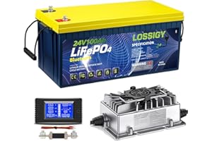 LOSSIGY 24V 100AH Bluetooth Lifepo4 Battery with 29.2V15A Smart Battery Charger,，2560W Deep cycle Lithium Battery，Peak Current 400A,Prefect for RV, trolling motor, Solar System, Marine, Boat