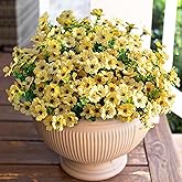 HyeFlora Artificial Fall Flowers Faux Mums for Outdoor Indoor Garden Home Decoration, Faux Flower Daisy with Eucalyptus Leaves Fake Plants Greenery Boxwood Porch Patio, 12 Bundles (Yellow)