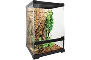 Waazoorep Mini Reptile Glass Terrarium Tank 8"x8"x12“ Full View with Front Opening Door and Enclosure Habitat Cage for Leopard Gecko Tarantula Young Lizard Hermit Crab Frog Insects Breeding Tank