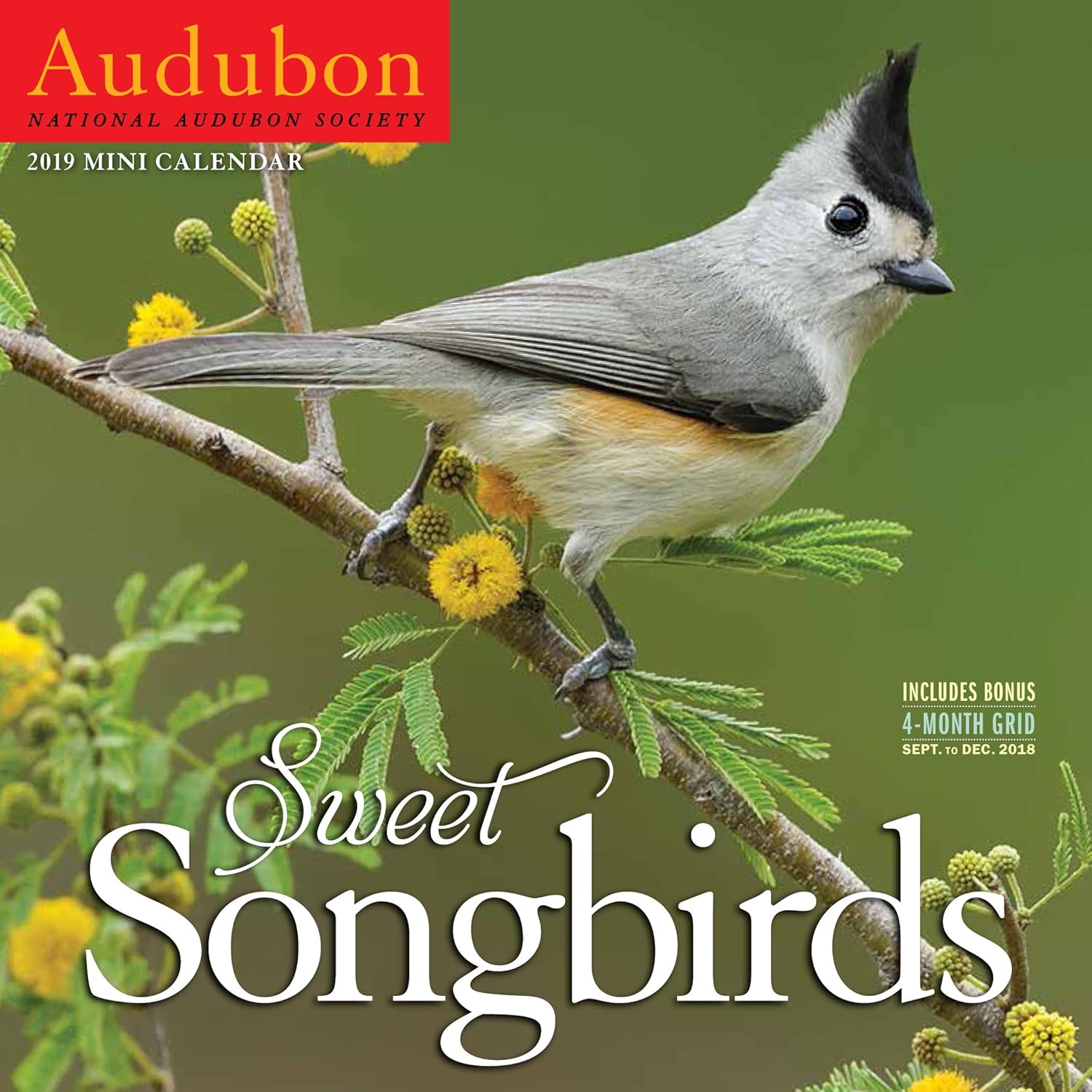 Best audubon birds color page-a-day desk calendar 2019