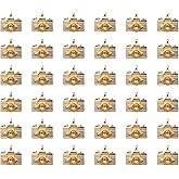 Ruwado 50 Pcs Camera Charms Silver Gold Mini Cute Metal Beading Jewelry Making Kit for DIY Crafting Christmas Gift Idea Necklace Bracelet Earring Keychain Making Supplies Accessories (Gold-1)