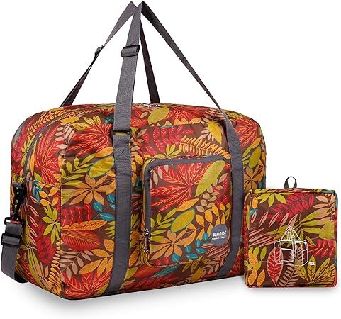 amazon basic carry on luggage