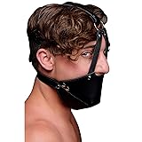 Mouth Harness with Ball Gag