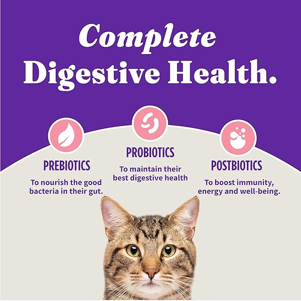 HALO HOLISTIC KITTEN FOOD, WILD CAUGHT SALMON & WHITEFISH RECIPE, GRAIN FREE DRY CAT FOOD, COMPLETE DIGESTIVE HEALTH, 6 LB BAG