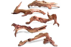 HEMYIS Natural Driftwood Trunk for Aquarium Fish Tank Decor,Assorted Driftwood Branch for Reptile Decor (ZYM Driftwood (10 to 12 Inch)-Pack of 5)