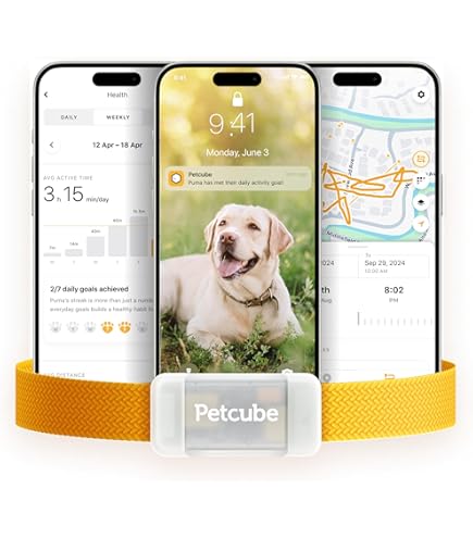 Fi Smart Dog Fi Collar Monthly Cost Fi Collar Month Membership