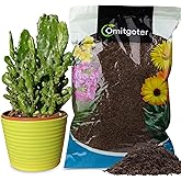 Omitgoter Sphagnum Peat Moss for Plants 1qt, Organic Garden Growing Soil Amendment and Media for Flowers, Vegetables, Herbs, Orchid, Indoor Houseplant