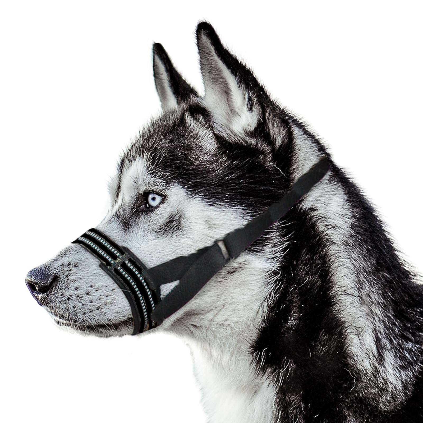 Dog Muzzle,Nylon Adjustable Anti-Bite Barking and Chewing Dog Muzzle with Reflective Strips,Dog Mouth Guard for Daily Behavior Training (Black, S:Snout Girth:16-20cm/6.2-7.8in)