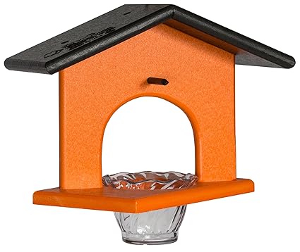 Amazon Com Glori Be S Single Oriole Feeder Oriole Bird Feeder