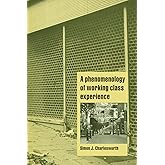 A Phenomenology of Working-Class Experience (Cambridge Cultural Social Studies)