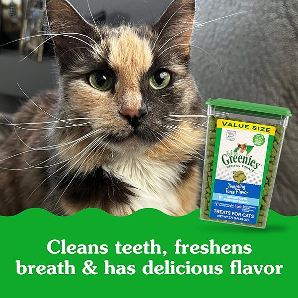 GREENIES CAT TREATS, VETERINARIAN-RECOMMENDED ADULT NATURAL DENTAL CAT TREATS, TEMPTING TUNA FLAVOR, 9.75 OZ. TUB