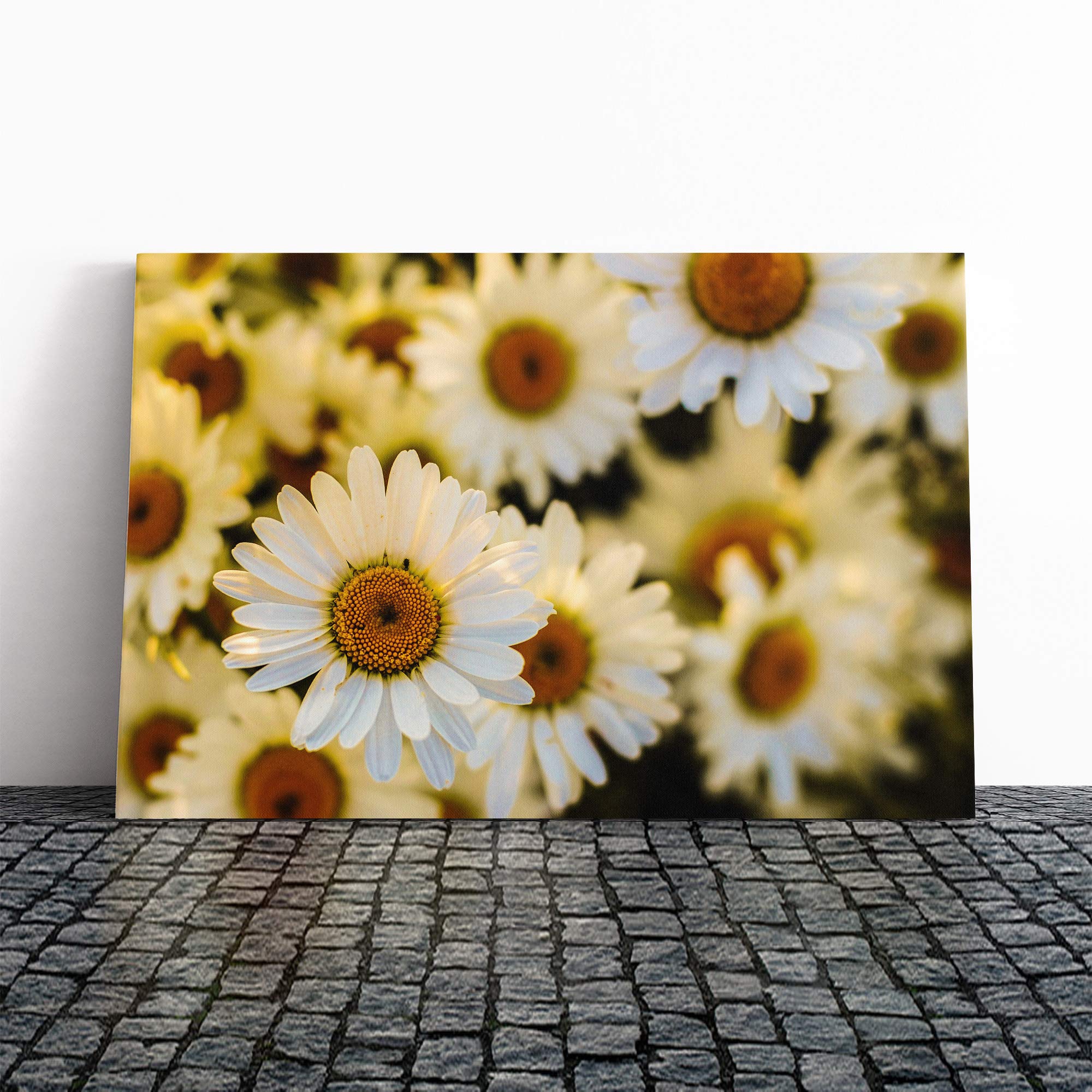 White Flowers (4) Canvas Print | Gallery Wrapped 30mm Frame Wall Art | 20x14 inches | Ready to Hang | Modern Floral Picture | Living Room Bedroom Lounge Office