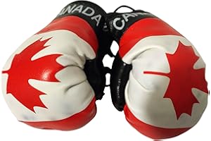FNG MINI BOXING GLOVES Flag Mini Small Boxing Gloves to Hang Over Car Automobile Mirror – Americas
